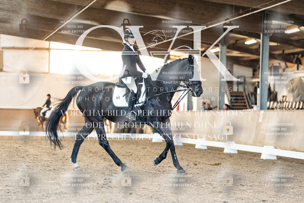 CK906957 | Turnierfotografie Pferdefotografie Trier Rheinland-Pfalz Pferdesport Reitsport Tierfotografie Sportfotografie Pferdevideo Pferdevideografie Equestrianvideography equestrianphotography  - Realisiert mit Pictrs.com