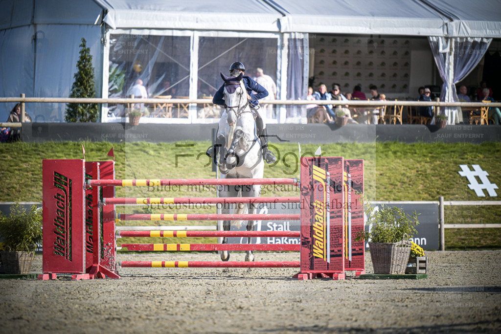 DOS_0915 | Entdecke hochwertige Reitturnierfotos von Foto Oger. Professionell, emotional und authentisch – jetzt Lieblingsmomente im Shop bestellen. - Realisiert mit Pictrs.com