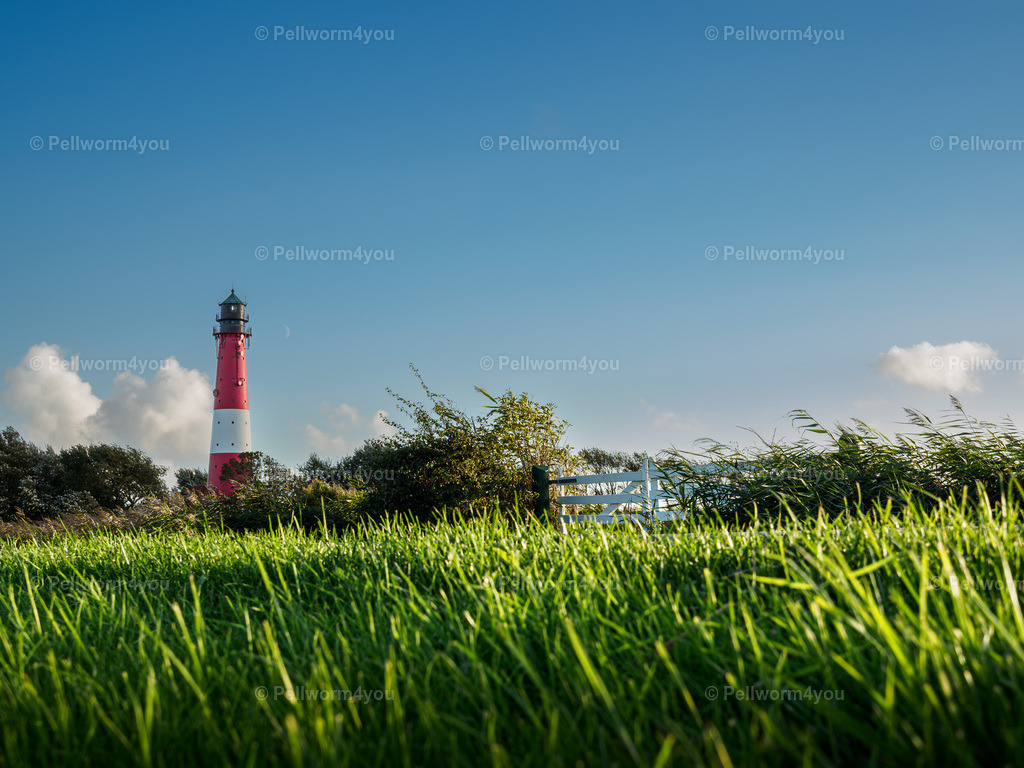 _A012219 | Pellwormer Bilder und Fotos als Poster, auf Leinwand mit Keilrahmen, hinter Acrylglas, auf Alu-Dibond oder Forex-Platte und vieles mehr. Zum verschenken, für die Ferienwohnung oder für zu Hause. - Realisiert mit Pictrs.com