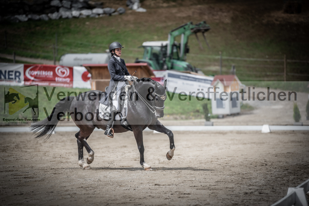 DSC_2694 | equestrian-live-com