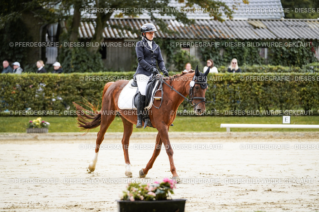 DSC04605 | Pferdegrafie