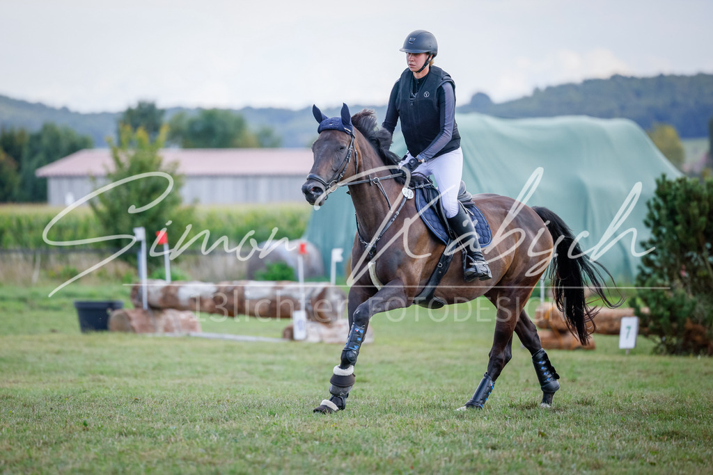 20250905-_3LI0440 | Tierfotografie Pferde, Hunde, Katzen, Haustiere.
Turnierfotografie Reitturniere, Reiten, Springreiten, Dressur in Hanau, dem Main-Kinzig-Kreis und dem Rhein-Main- Gebiet um Frankfurt