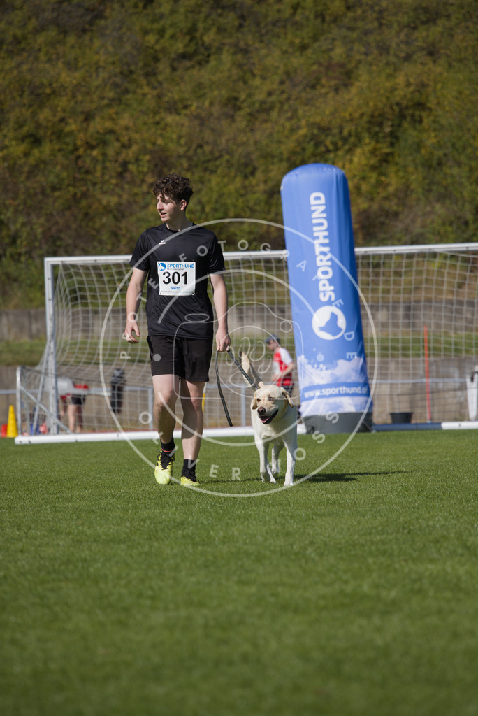 0L8A7453 | Hundefotografie, Tierfotograf, Pfotenfotografie, Fotoshooting Hund, Hunde Portrait, Hundesport, Hundeportraits, Heideshooting, Hunde, Sportfotograf, Hundefotograf, Turnierhundsport, THS,  - Realisiert mit Pictrs.com