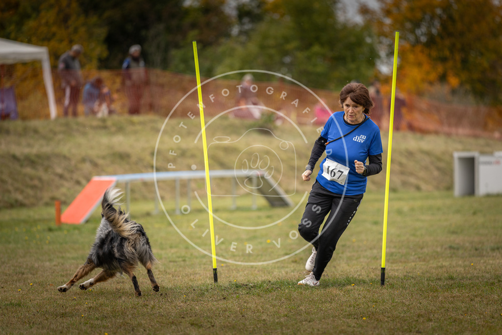 Pfotenfotografie_DV3A6018 | Hundefotografie, Tierfotograf, Pfotenfotografie, Fotoshooting Hund, Hunde Portrait, Hundesport, Hundeportraits, Heideshooting, Hunde, Sportfotograf, Hundefotograf, Turnierhundsport, THS,  - Realisiert mit Pictrs.com