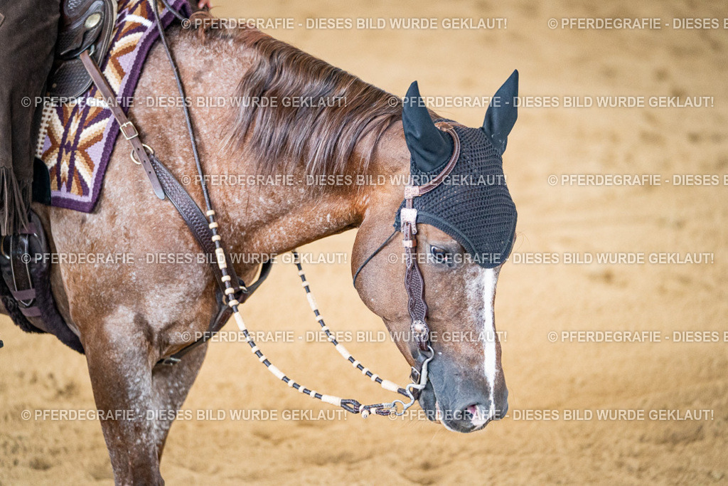 DSC00685 | Pferdegrafie