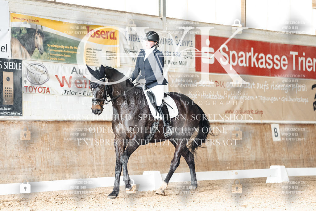 CK902302 | Turnierfotografie Pferdefotografie Trier Rheinland-Pfalz Pferdesport Reitsport Tierfotografie Sportfotografie Pferdevideo Pferdevideografie Equestrianvideography equestrianphotography  - Realisiert mit Pictrs.com