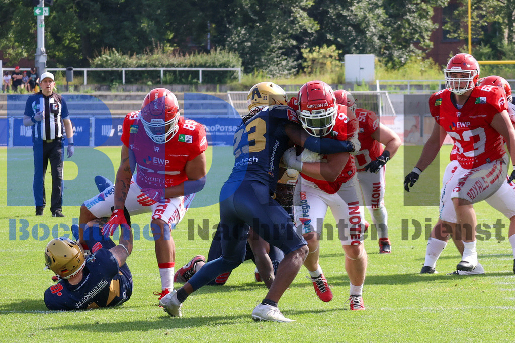 GFL: Potsdam Royals vs. Dresden Monarchs{date} -  | {headline}(Foto: Thomas Sobotzki / BOND) - Realisiert mit Pictrs.com
