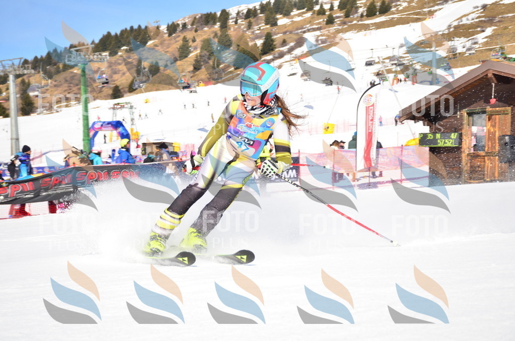 VR4_8743 | holidayphoto