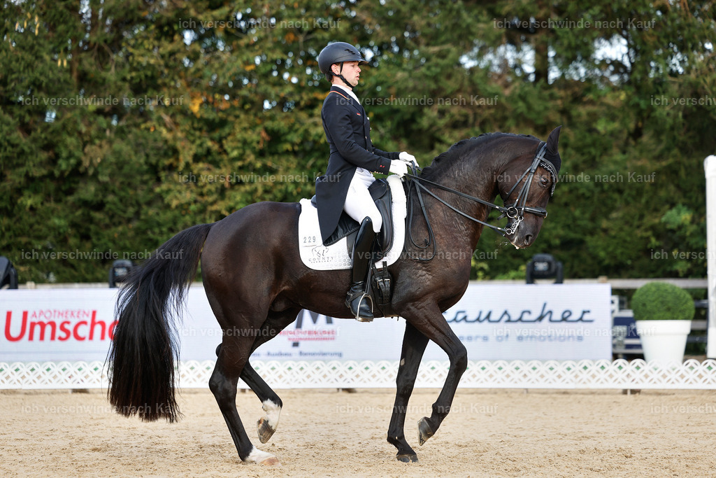 13-229-S___ -StoibPH-6986 | working equitationturnier fotograf videograf stoibphotography marixx film working equitation deutschland reitsport turnierfotografie eventfotografie equestrian events