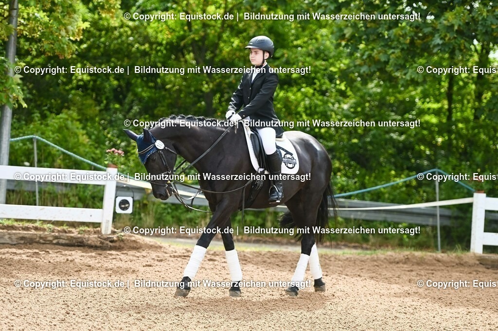 20230716_10-1_Reiter-WB Schritt - Trab - Galopp_0135 | equistock
