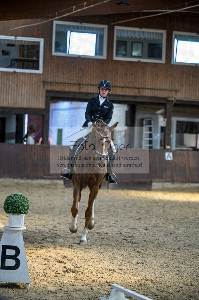 Reitturnier Voxtrup | Entdecke hochwertige Reitturnierfotos von Foto Oger. Professionell, emotional und authentisch – jetzt Lieblingsmomente im Shop bestellen.Deutschlandweite Turnierfotografie. - Realisiert mit Pictrs.com