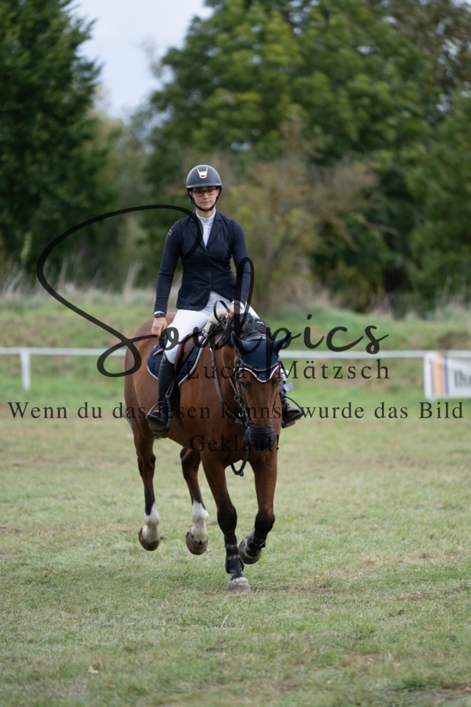 A7V07408 | Turnier/Reitfotograf