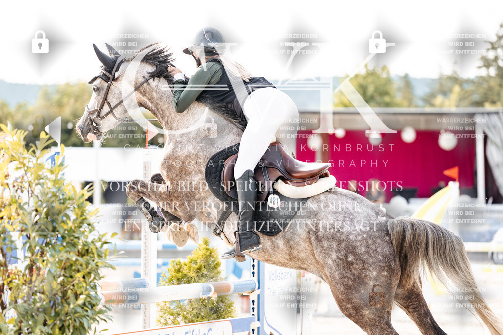 CK906618 | Turnierfotografie Pferdefotografie Trier Rheinland-Pfalz Pferdesport Reitsport Tierfotografie Sportfotografie Pferdevideo Pferdevideografie Equestrianvideography equestrianphotography  - Realisiert mit Pictrs.com
