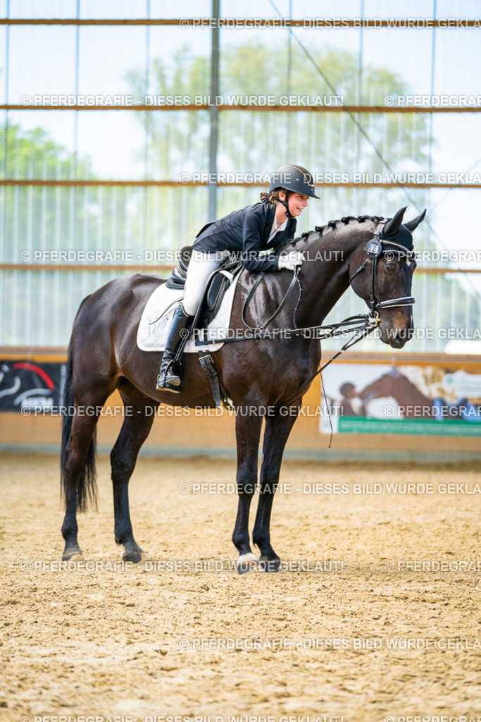 DSC09546 | Pferdegrafie