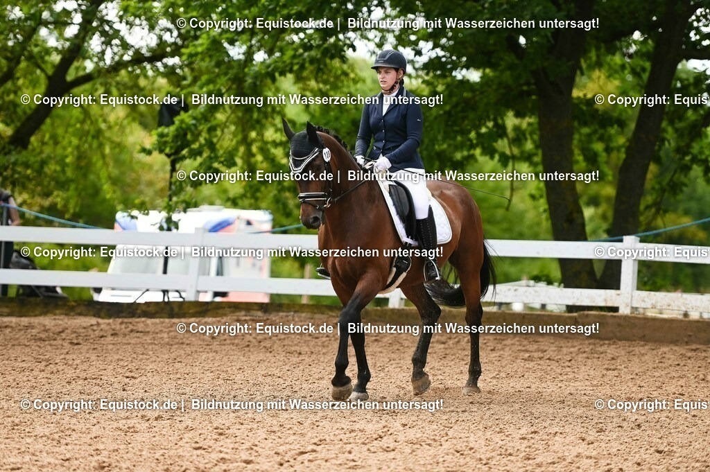 20230716_04_Dressurreiterprüfung Kl.A_0310 | equistock