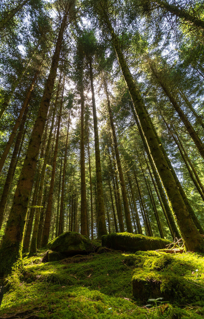 DSC07247 | fotografie33