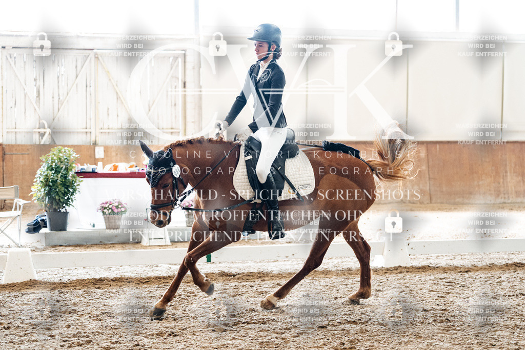 CK900528 | Turnierfotografie Pferdefotografie Trier Rheinland-Pfalz Pferdesport Reitsport Tierfotografie Sportfotografie Pferdevideo Pferdevideografie Equestrianvideography equestrianphotography  - Realisiert mit Pictrs.com