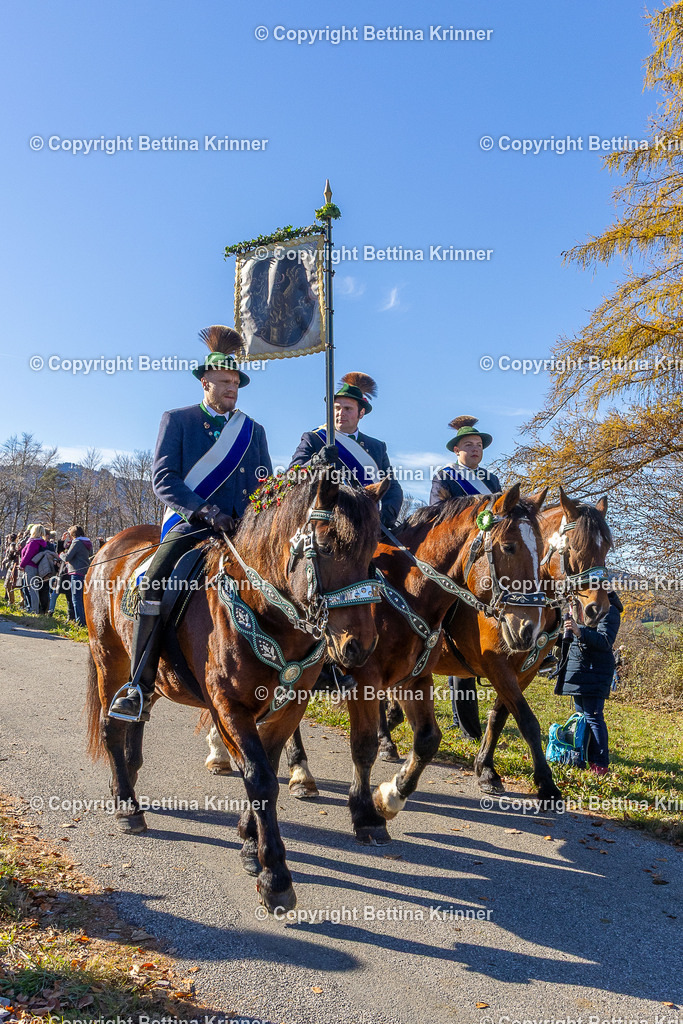 LBT25-971 | foto-bettina-krinner - Realisiert mit Pictrs.com