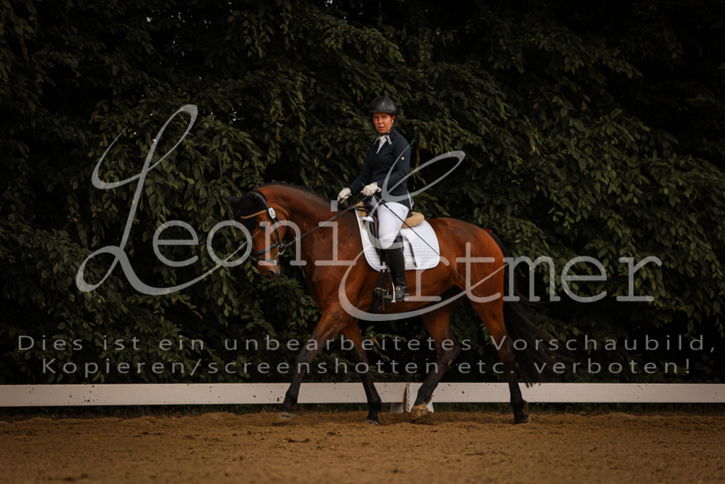 DoDrE00067 | Leoni Ertmer Photography - Realisiert mit Pictrs.com