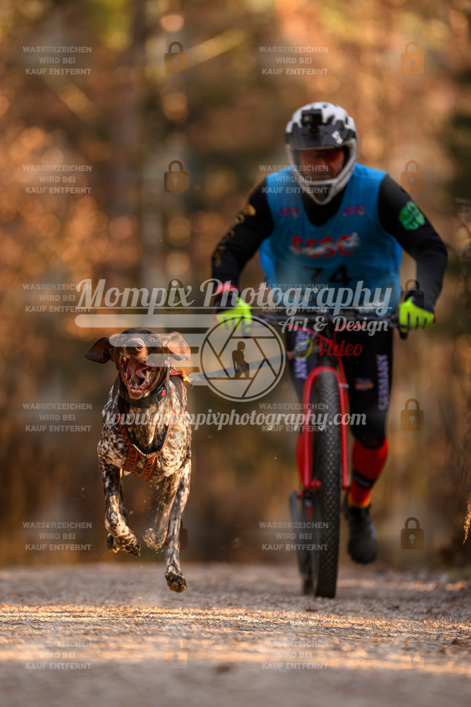 MompixPhotography_DM_AKDM_SO_2025_Scooter-149 | PayLife