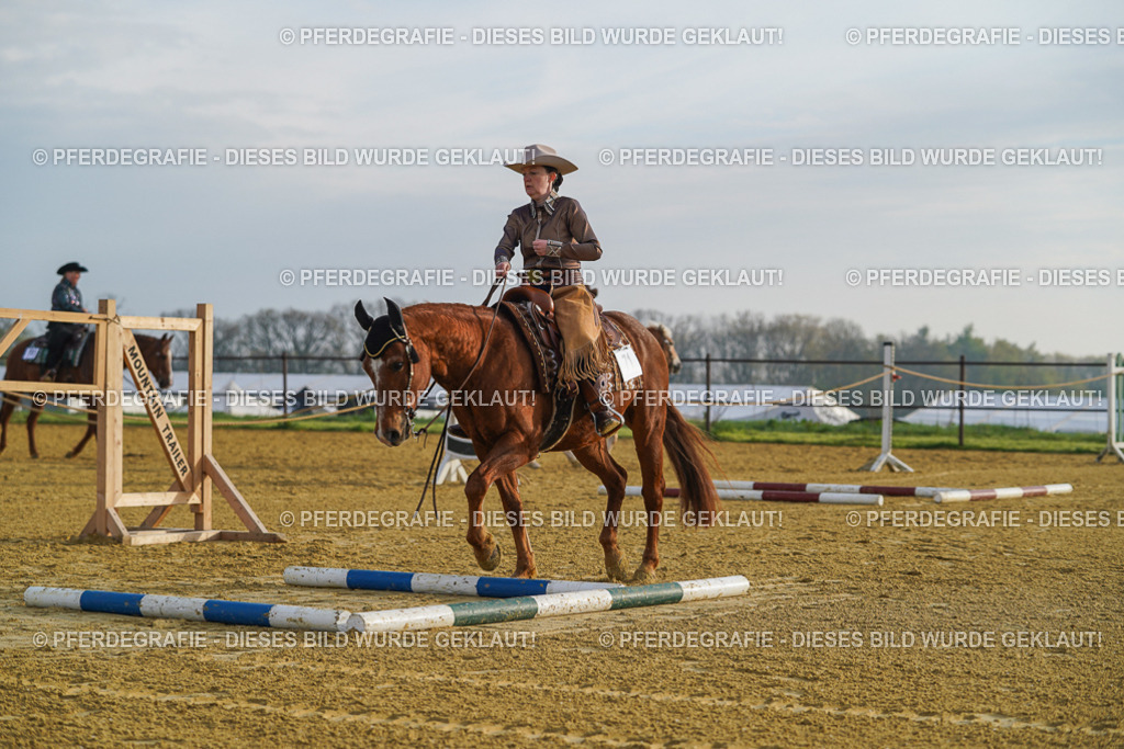 DSC09807 | Pferdegrafie