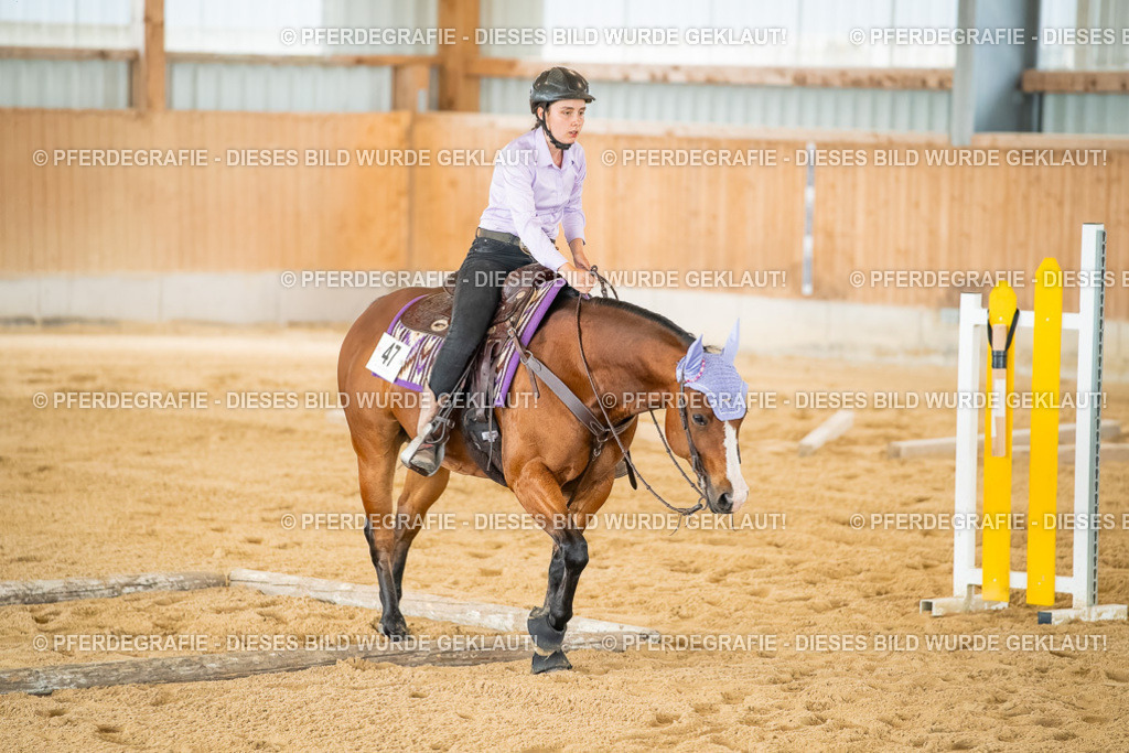 DSC07148 | Pferdegrafie