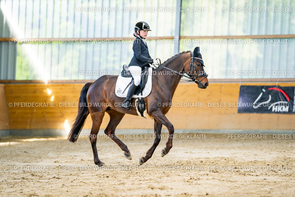 DSC06377 | Pferdegrafie