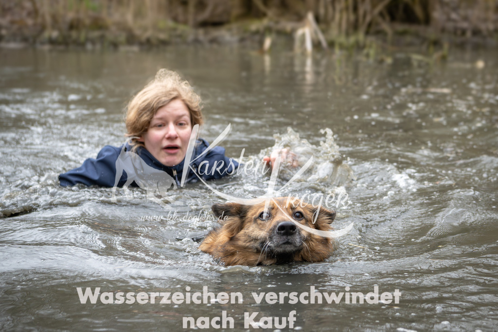 0841_ZZ92702 | kk-dogfotos