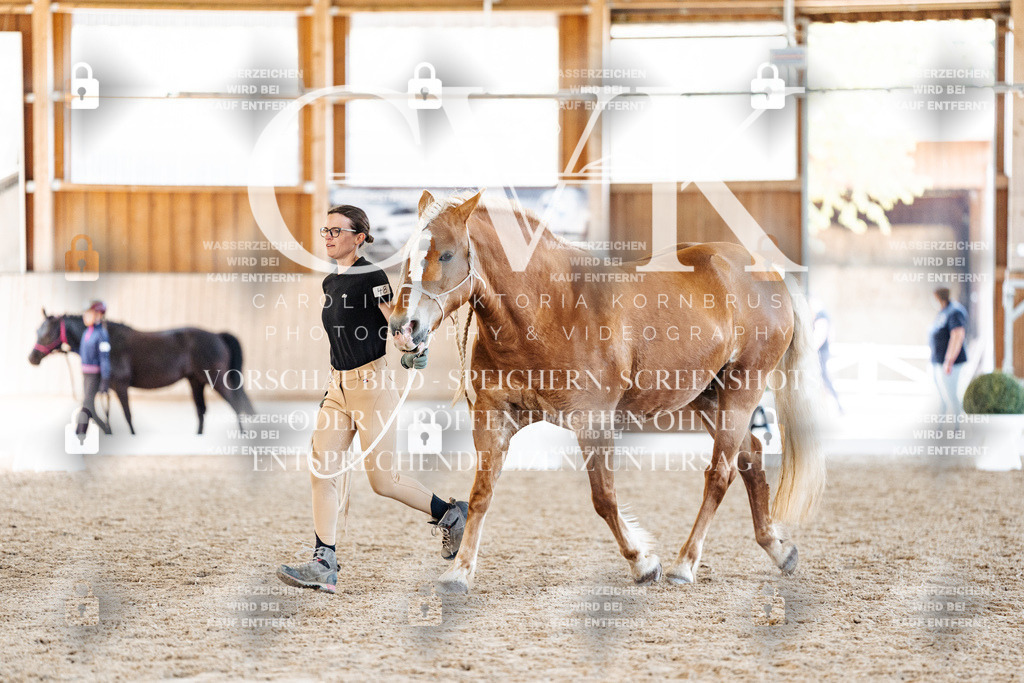 CK906703 | Turnierfotografie Pferdefotografie Trier Rheinland-Pfalz Pferdesport Reitsport Tierfotografie Sportfotografie Pferdevideo Pferdevideografie Equestrianvideography equestrianphotography  - Realisiert mit Pictrs.com