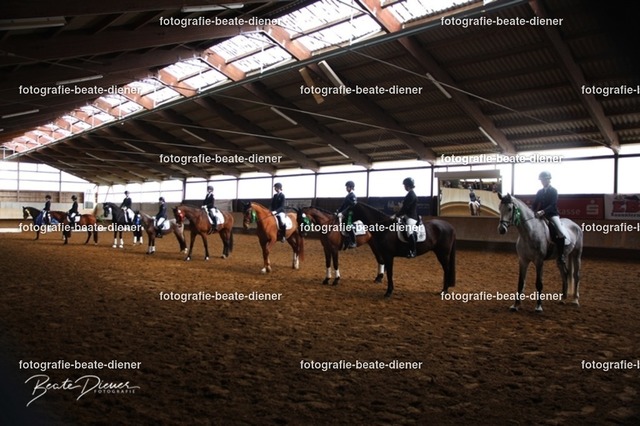 JugendTrophy0651 | Fotografie, Tiere, Hunde, Katzen, Pferde, Sportfotografie, Fotosession, Tierfotografie, Turnierfotografie, Fotografin, Fotograf - Realisiert mit Pictrs.com