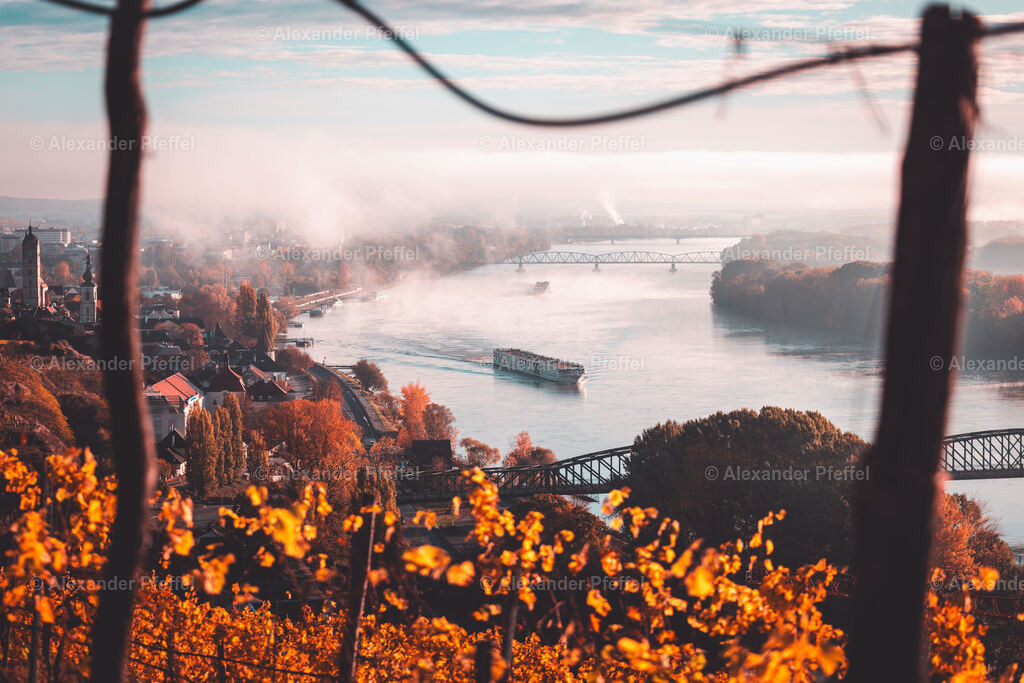 foto_c_pfeffel-partner-0106-R52_0385 | alexander-pfeffel - Realisiert mit Pictrs.com