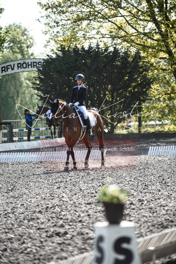 DSC_8909 | Pferde- und Turnierfotografie in Westsachsen. Pferdeportraits, Auftragszeichnungen und intuitive Kunst.