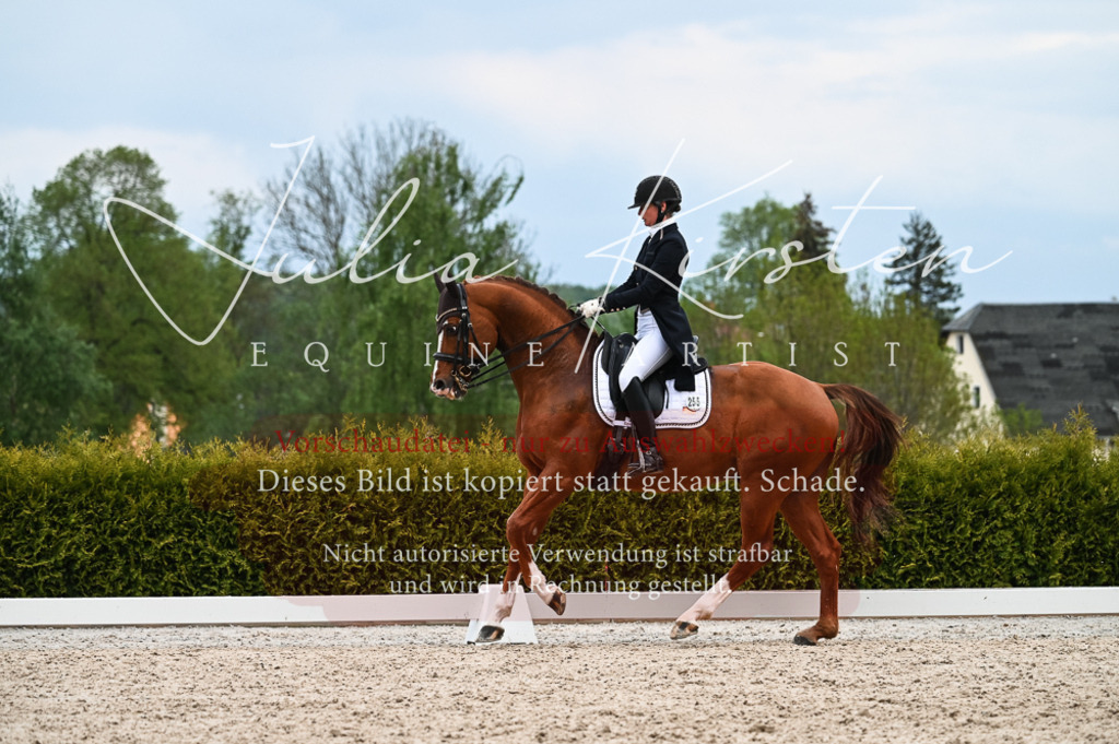 20230513_JK-Röhrsdorf-13-602 | Pferde- und Turnierfotografie in Westsachsen. Pferdeportraits, Auftragszeichnungen und intuitive Kunst.