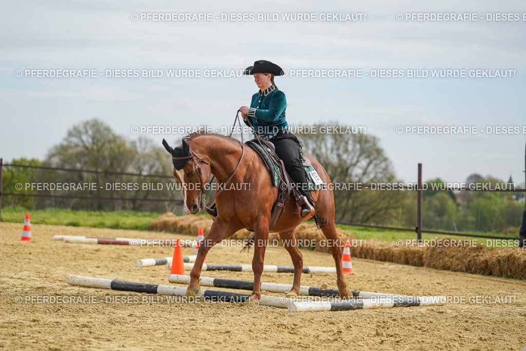 DSC03649 | Pferdegrafie