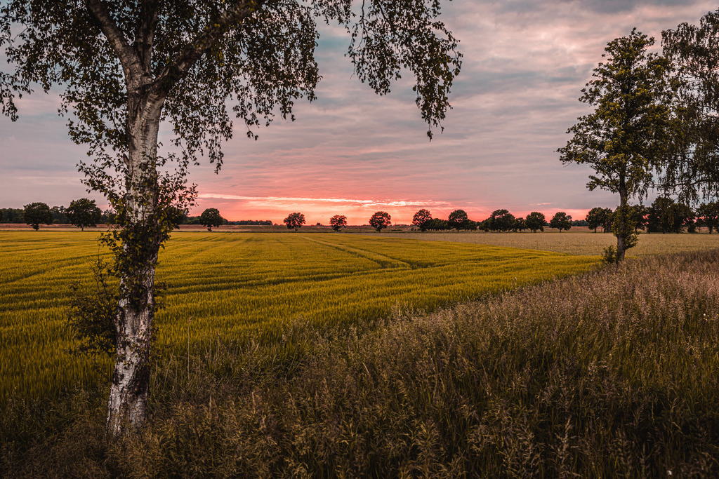 Heimat | FI-LO Bildershop – Entdecken Sie beeindruckende Fotografie und inspirierende Videoproduktionen. Tauchen Sie ein in faszinierende Welten und lassen Sie sich von meinen einzigartigen Werken auf eine emotionale Reise mitnehmen. Perfekt für Kunstliebhaber und - Realisiert mit Pictrs.com