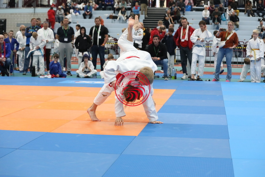 1J7A2844 | Fotos vom Adler Cup - Pictures from Adler Cup

Hier findet Ihr alle Eindrücke und großen Momente der Adler Cup Wochenenden. Here you will find all impressions and great moments of the Adler Cup weekends. - Realisiert mit Pictrs.com