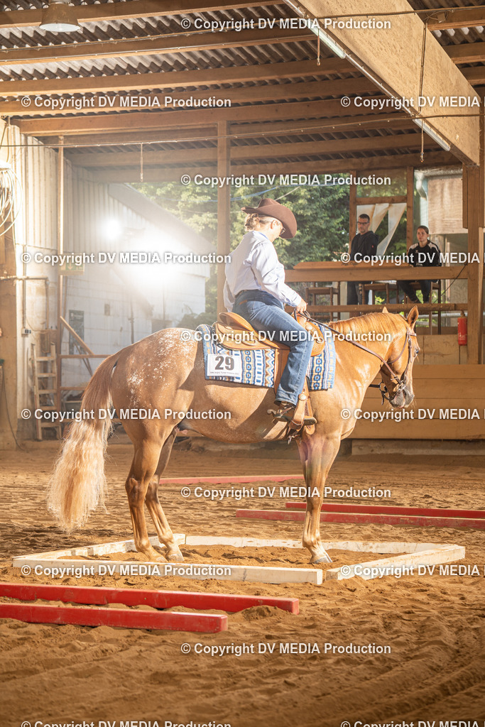 NID02597 | dv-media-shop - Realisiert mit Pictrs.com