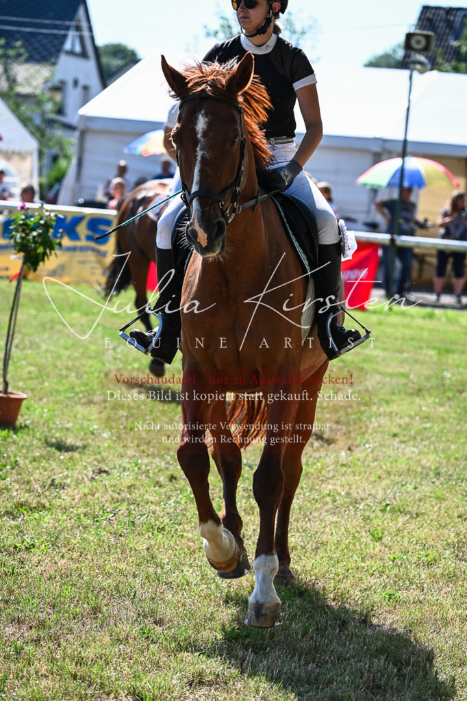 DSC_1779 | Pferde- und Turnierfotografie in Westsachsen. Pferdeportraits, Auftragszeichnungen und intuitive Kunst.