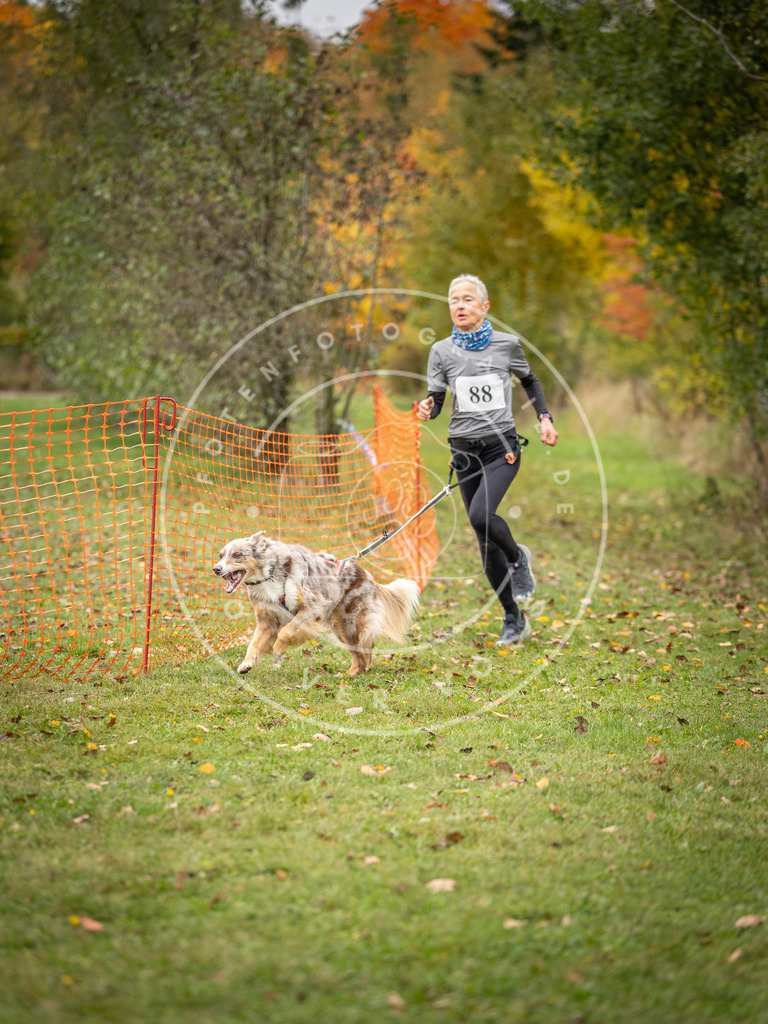 Pfotenfotografie_DV3A3221 | Hundefotografie, Tierfotograf, Pfotenfotografie, Fotoshooting Hund, Hunde Portrait, Hundesport, Hundeportraits, Heideshooting, Hunde, Sportfotograf, Hundefotograf, Turnierhundsport, THS,  - Realisiert mit Pictrs.com