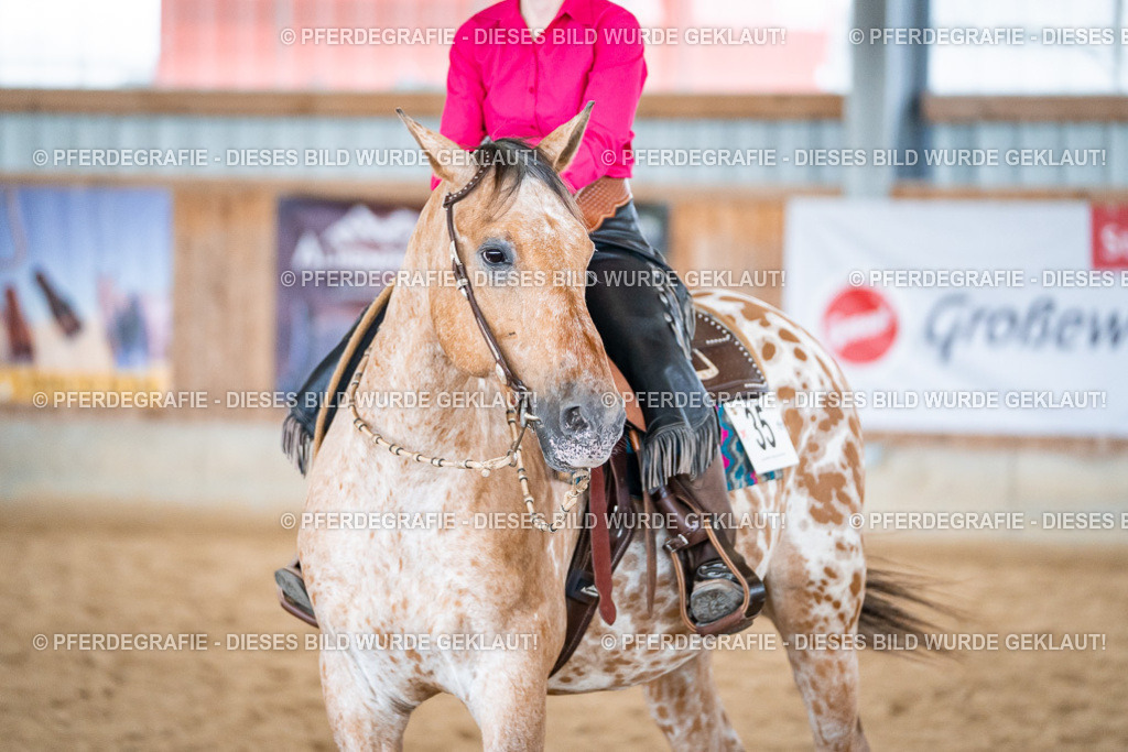 DSC07603 | Pferdegrafie