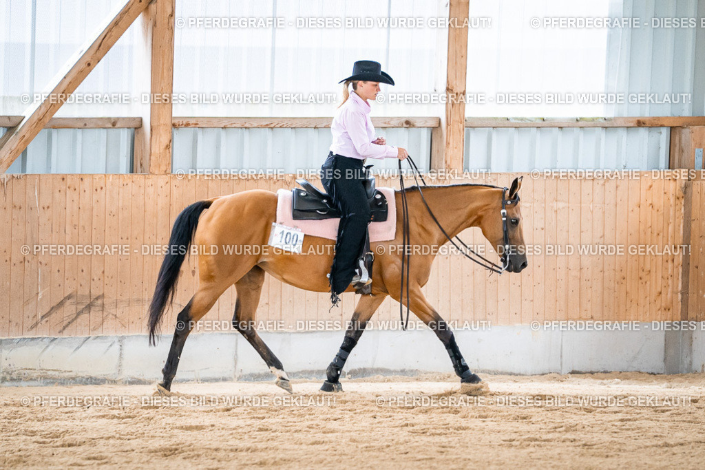 DSC09091 | Pferdegrafie