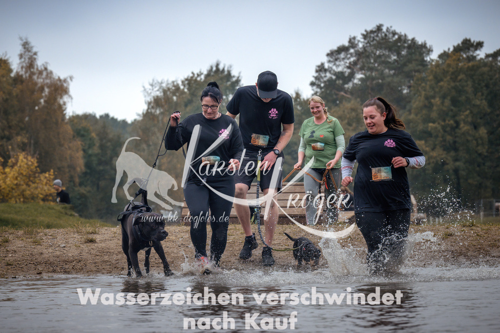 1311_ZZ93332 | kk-dogfotos