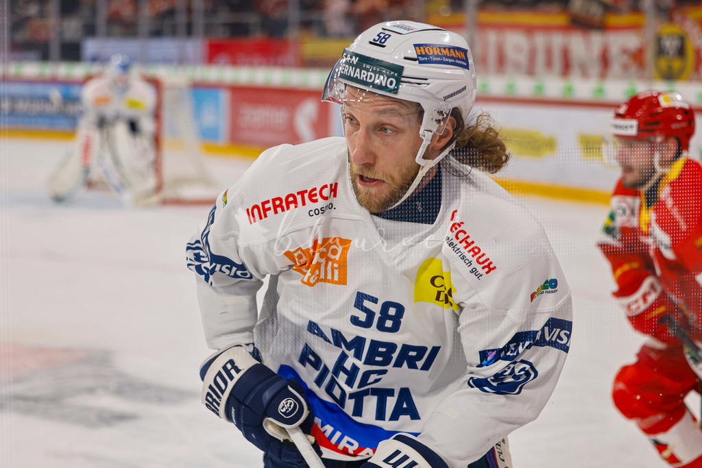 EHCB vs HCAP 20260115_wb-4721 | Sportbilder, Sportfotograf, Hochzeits- und Eventfotografin, Flugshows, Portraits und Tiershooting, Aviation, Downhill, Nationalleague, Swissleague, International