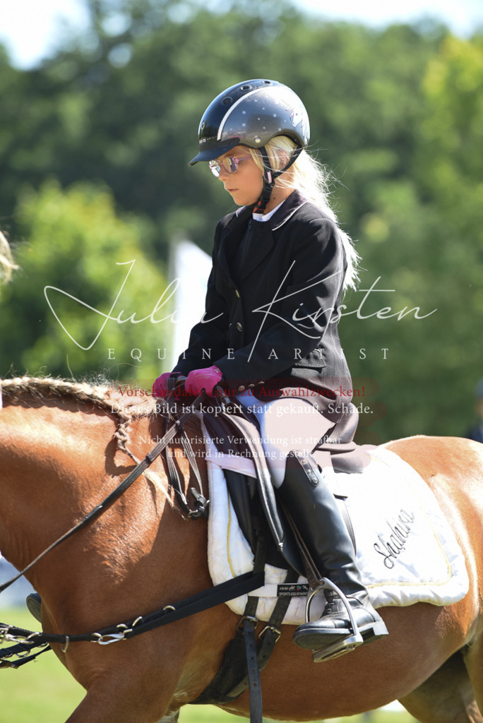 DSC_9737 | Pferde- und Turnierfotografie in Westsachsen. Pferdeportraits, Auftragszeichnungen und intuitive Kunst.