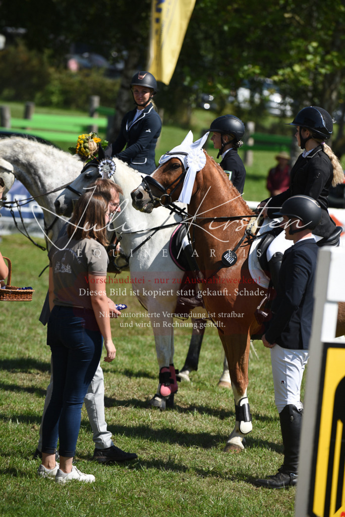 DSC_9645 | Pferde- und Turnierfotografie in Westsachsen. Pferdeportraits, Auftragszeichnungen und intuitive Kunst.
