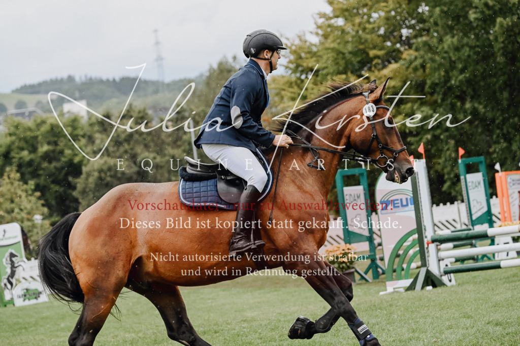 DSC_6997 | Pferde- und Turnierfotografie in Westsachsen. Pferdeportraits, Auftragszeichnungen und intuitive Kunst.