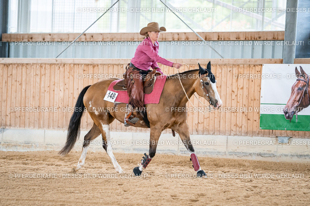 DSC08907 | Pferdegrafie