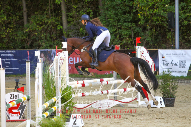 DKP42806 | Turniersportfotografie; Pferdefotografie; Dressurfotografie