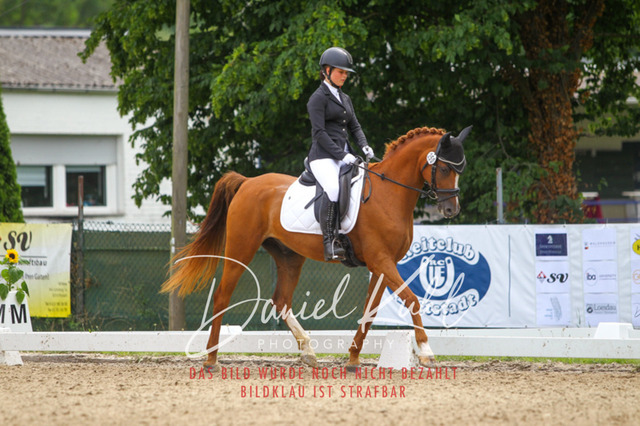 DKP42304 | Turniersportfotografie; Pferdefotografie; Dressurfotografie