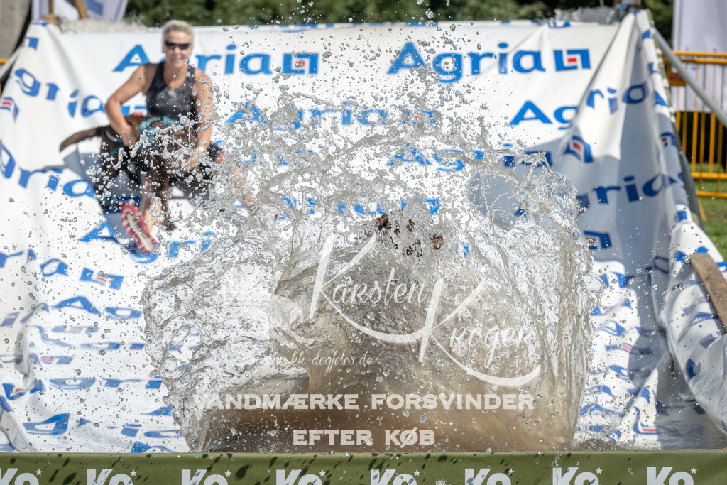 1217_ZZ95840 | kk-dogfotos